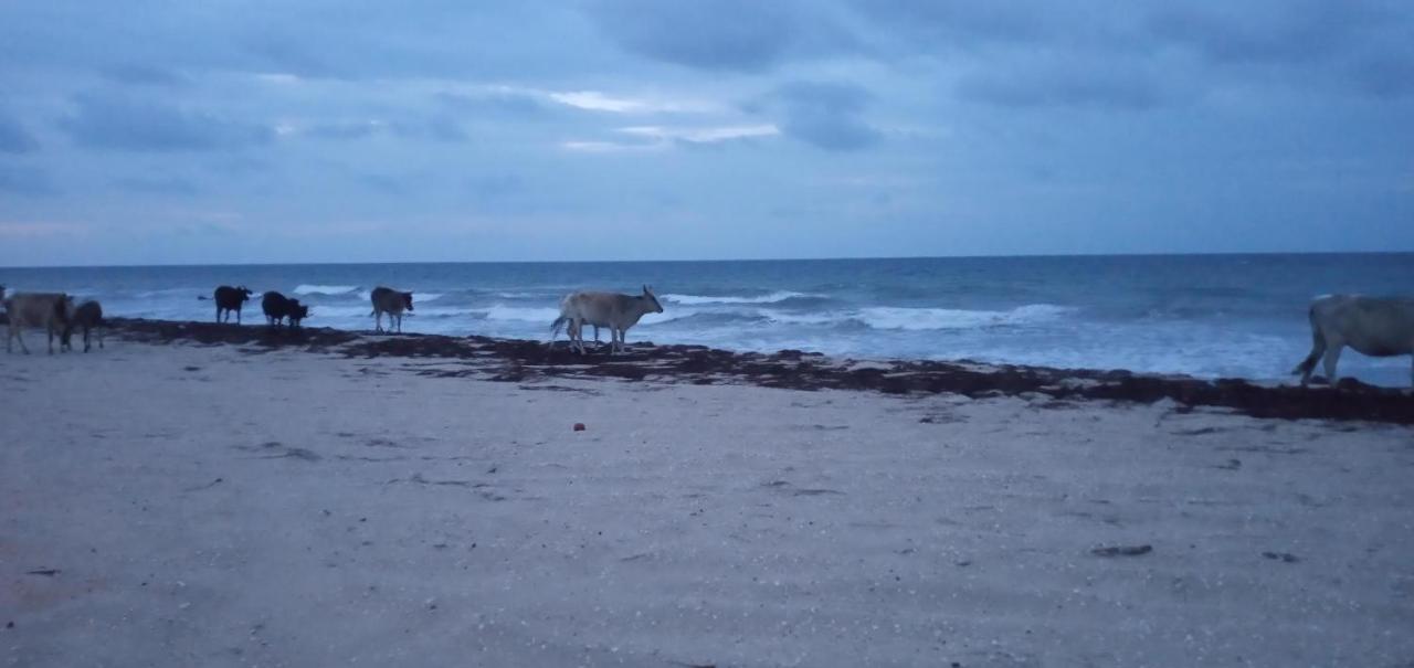 Portadosoljeri Jijoca de Jericoacoara Exterior foto