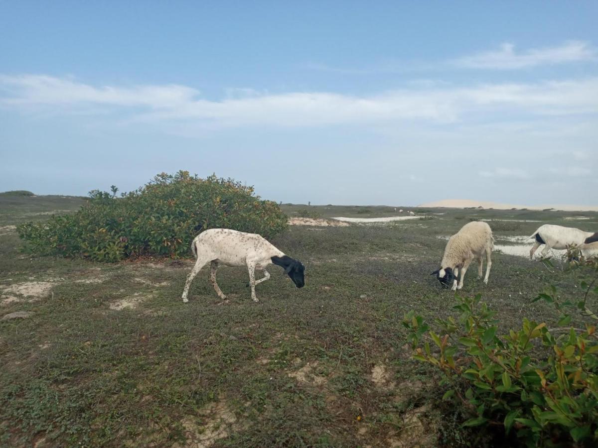 Portadosoljeri Jijoca de Jericoacoara Exterior foto