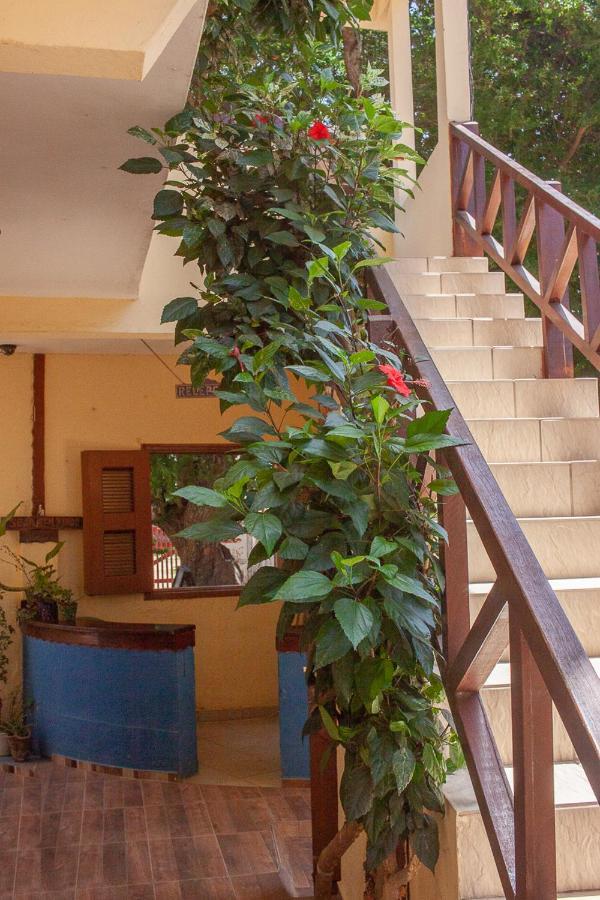 Portadosoljeri Jijoca de Jericoacoara Exterior foto