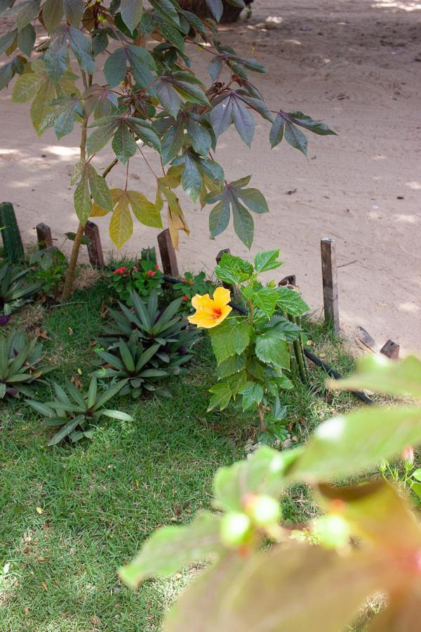 Portadosoljeri Jijoca de Jericoacoara Exterior foto